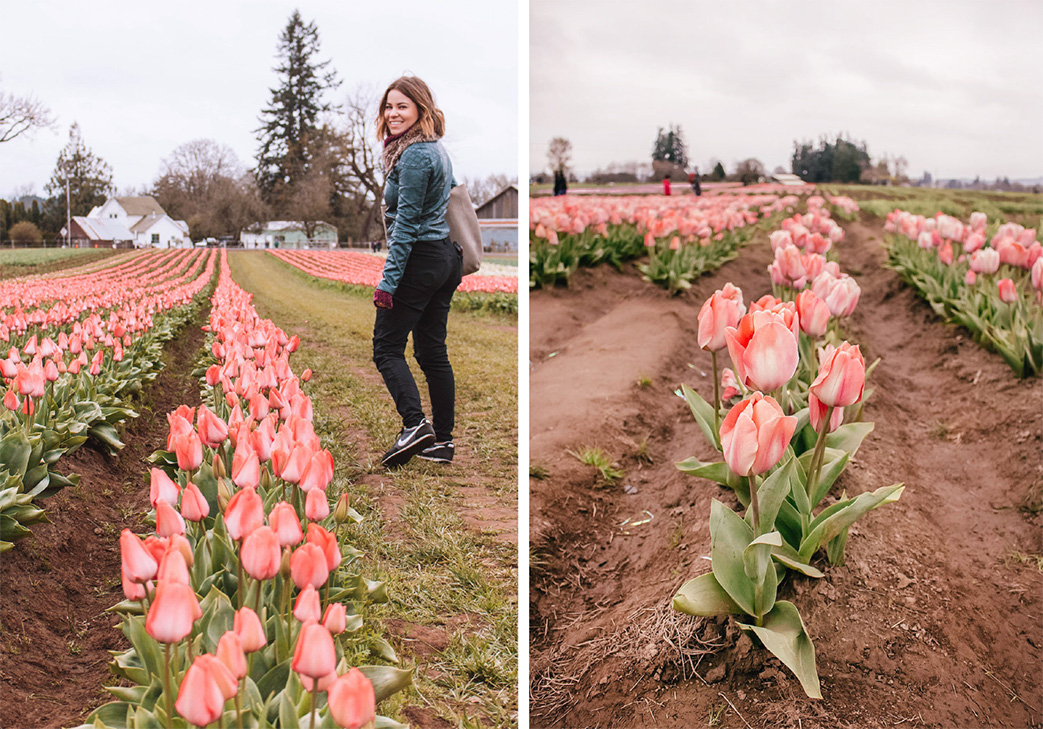 tulip farm Oregon bucket list